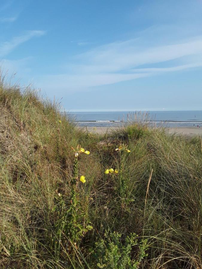 Vakantiestudio De Zeeparel De Panne Eksteriør bilde